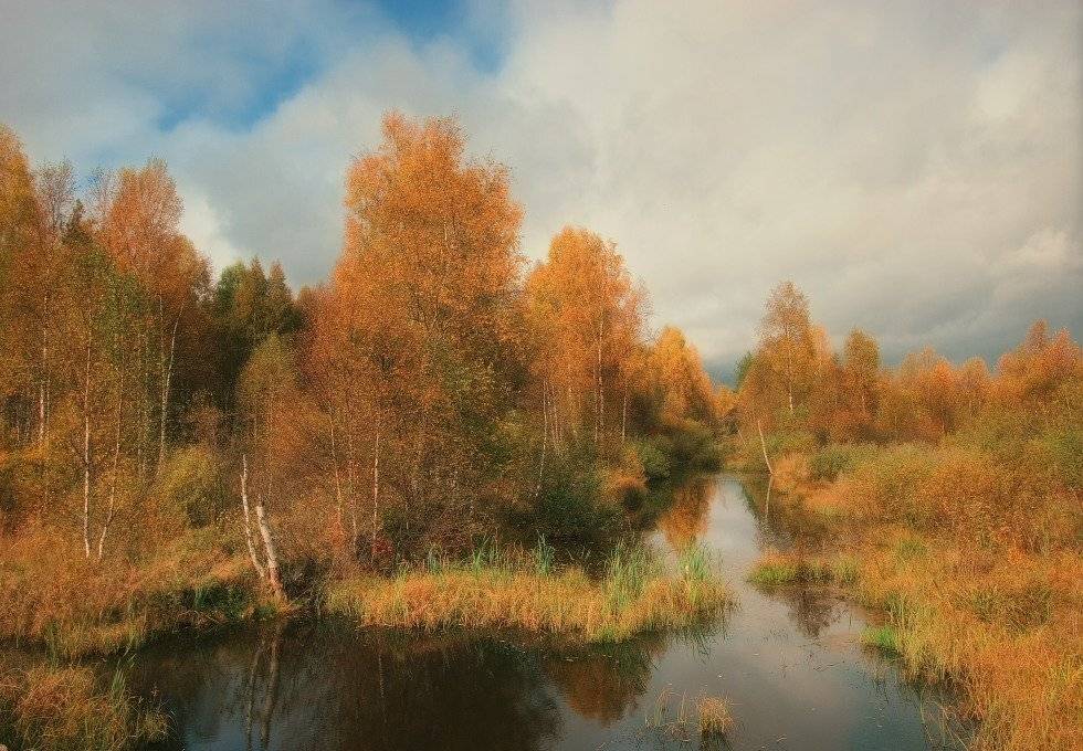 , Владимир Липецких