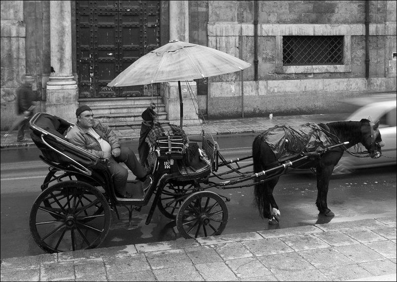 жизнь, палермо, италия, сицилия А жизнь, как всегда, на месте... фото превью