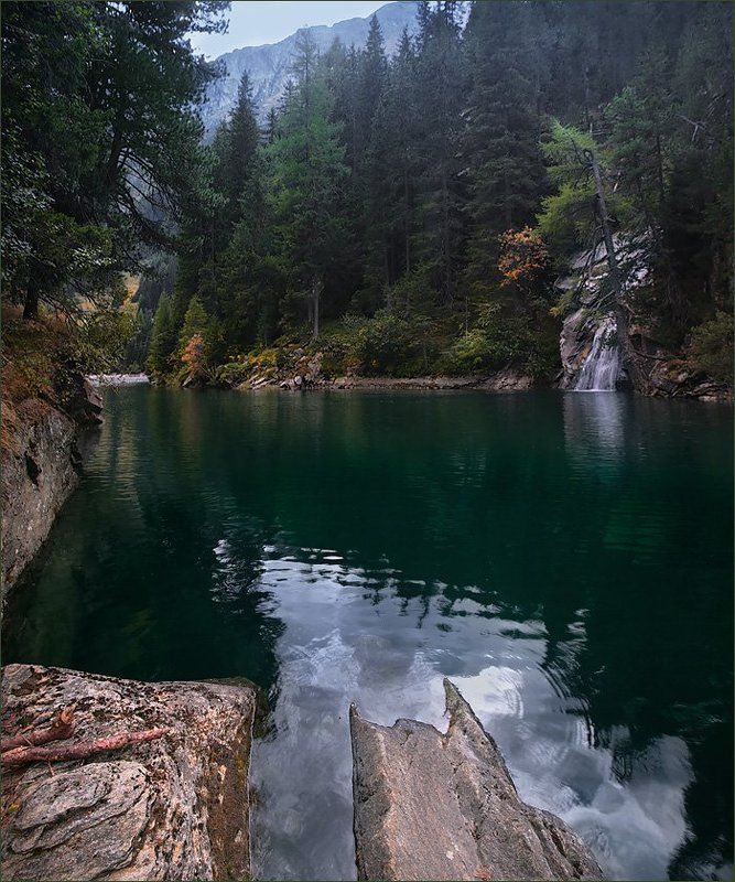швейцария, alps, swiss, switzerland Тишина лесного озера фото превью
