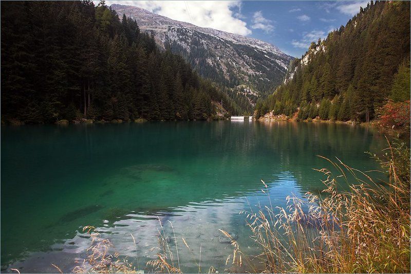 Краски лесного озера фото превью