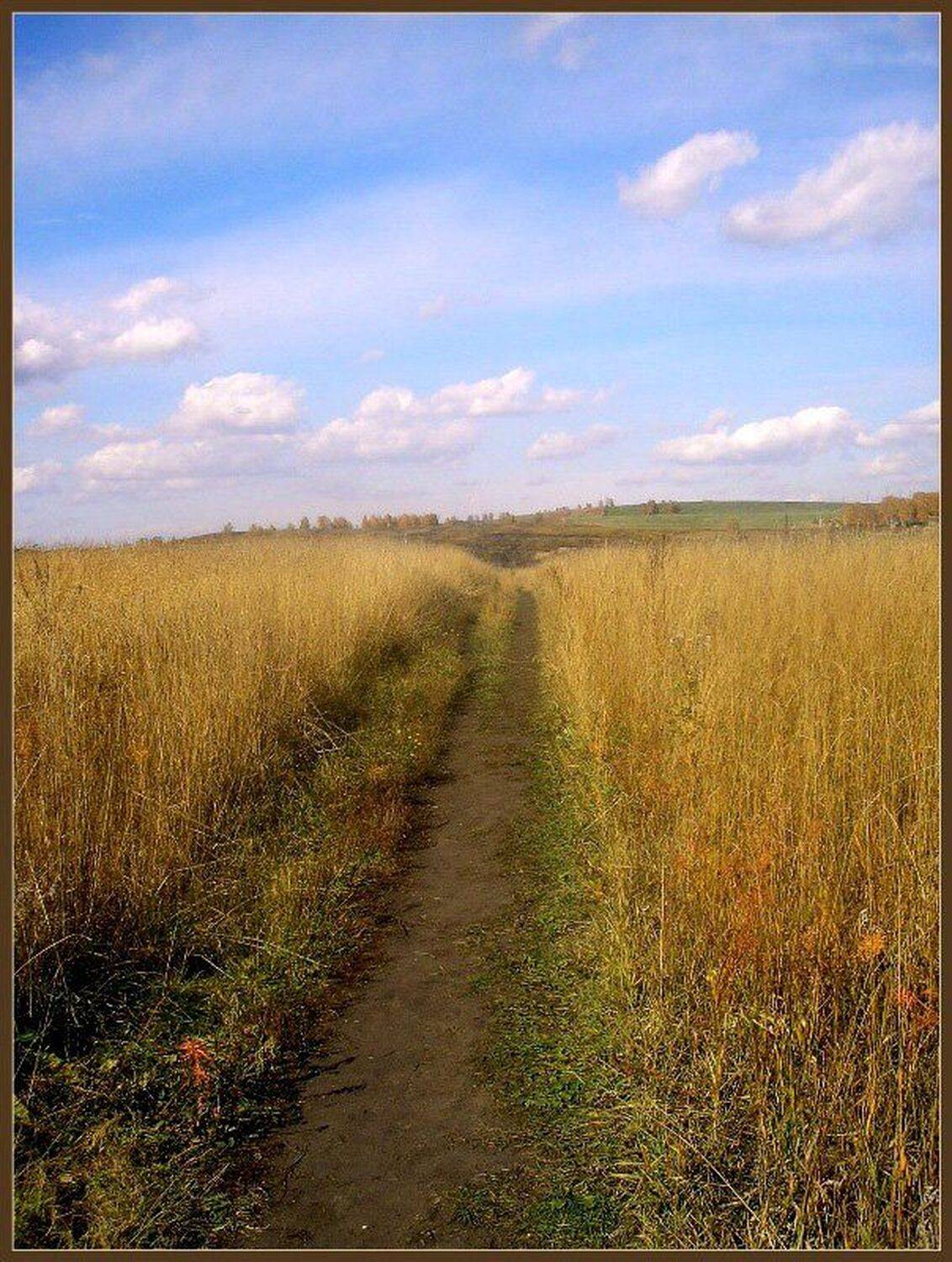 осень, поле, небо, облака, дорога, Elena Pankova