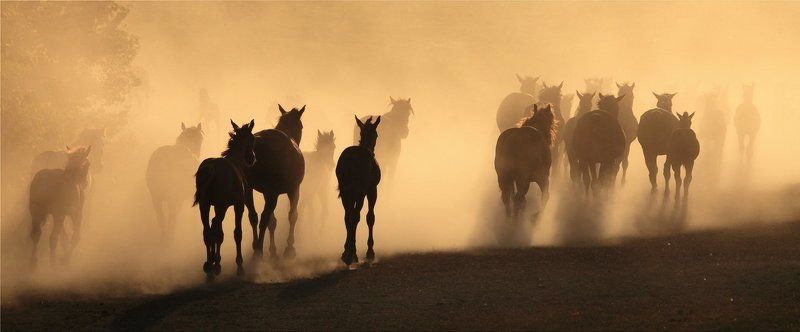 Утомленные солнцем фото превью