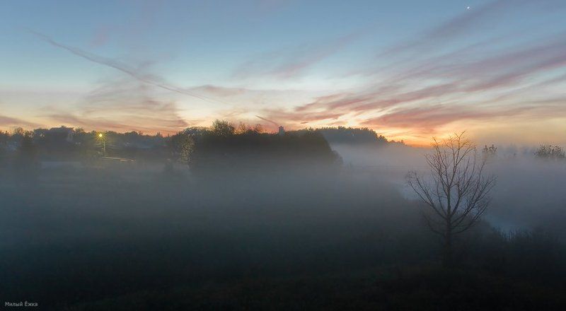 туман, утро, Созерцание... фото превью