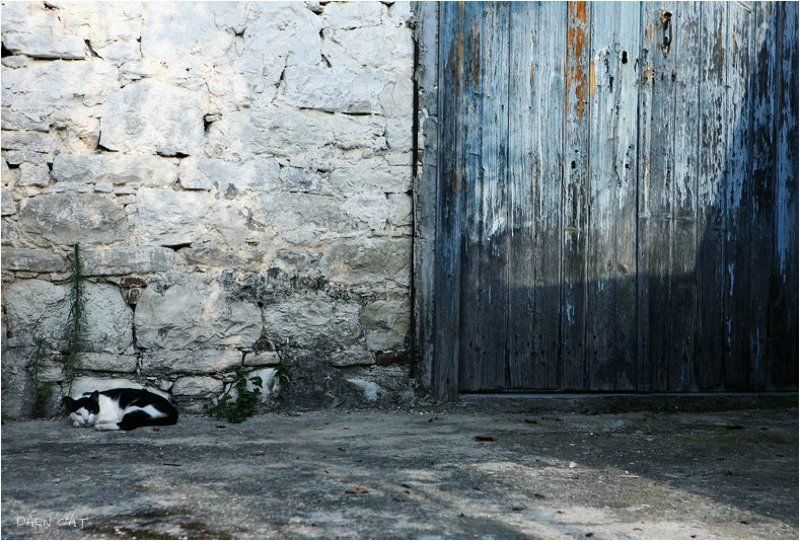 кипр, кот, стена, дверь, бело-голубой, деревня, в, горах Кипр фото превью