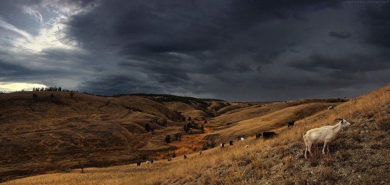 Донские зарисовки: Предгрозовое-2 фото превью