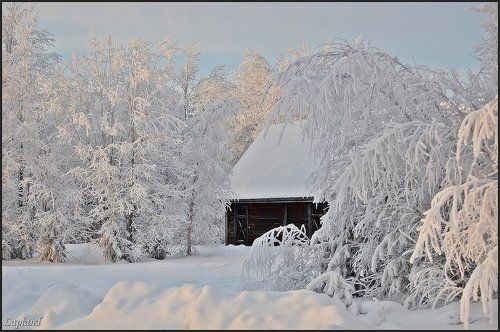Белое