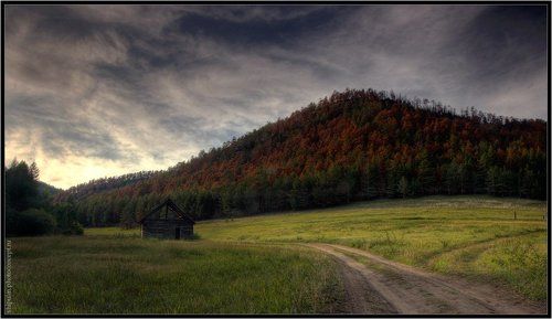 Дорожка в осень...