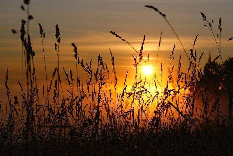 , Владислав.