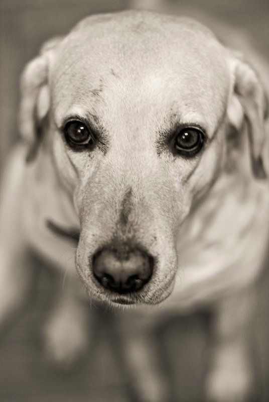 Она тебе верит... фото превью