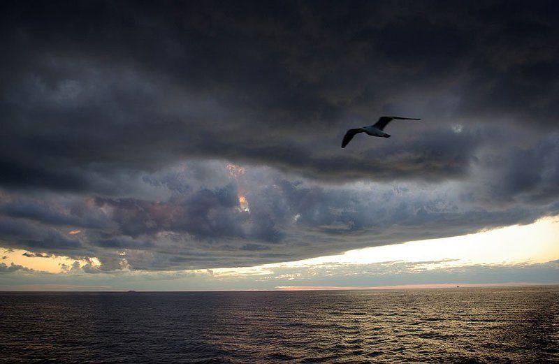 ладога,гроза Перед грозой фото превью