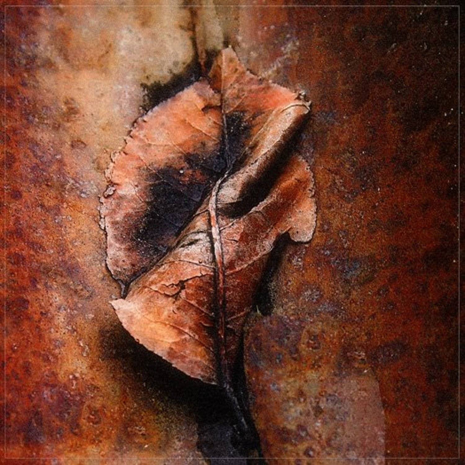 , Сергей Борисов