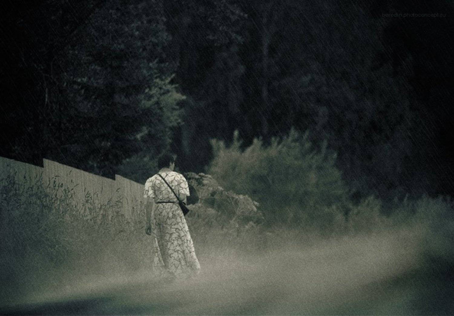 , Сергей Бородин (Minstrel)