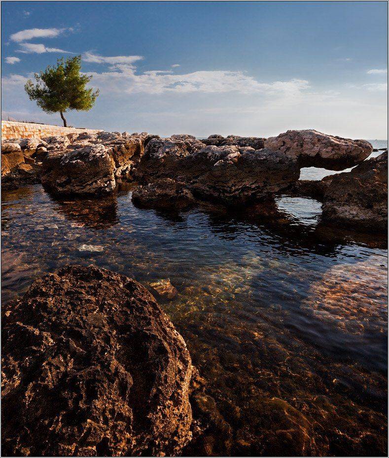 , izh Diletant (Валерий Щербина)