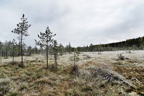 Дыхание зимы