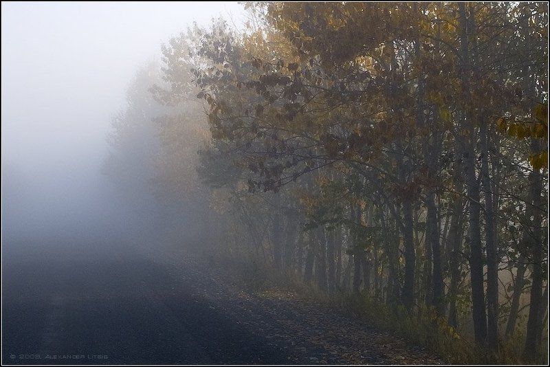 утро,осень,дорога,туман,камчатка Осеннее утро фото превью