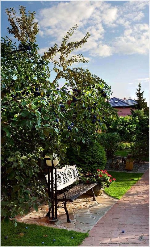 На самом юге Москвы IV фото превью