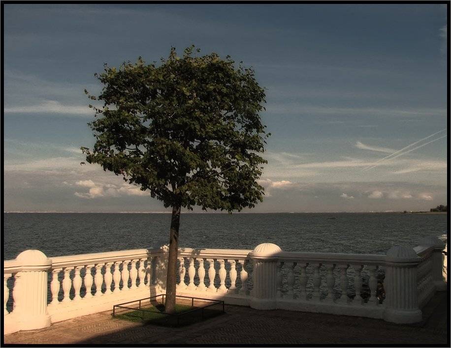 , Лунный Ежик