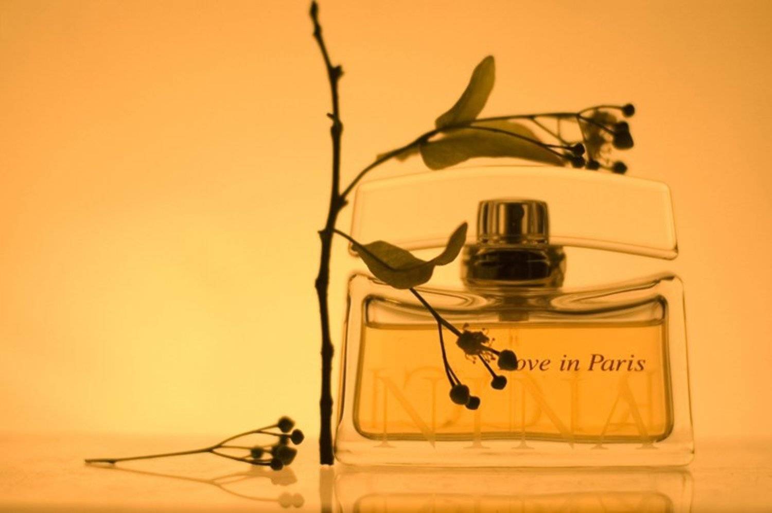 , Наташа Карацева