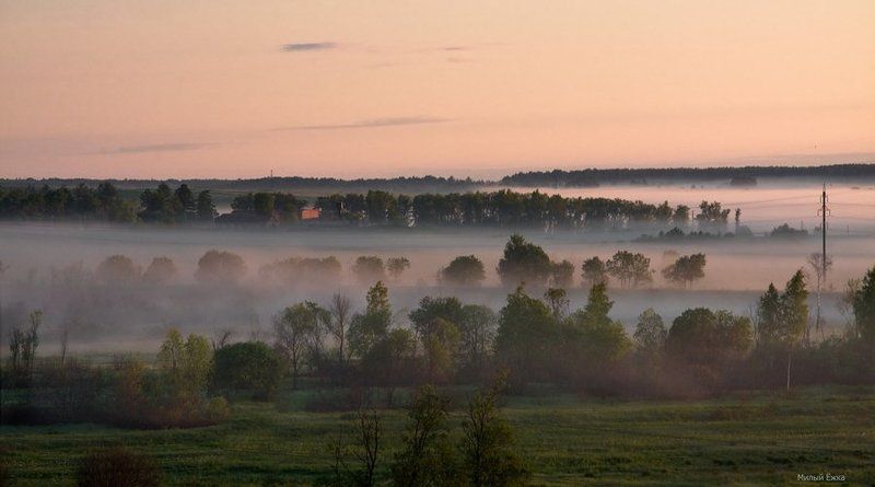 туман, утро, О тумане... фото превью