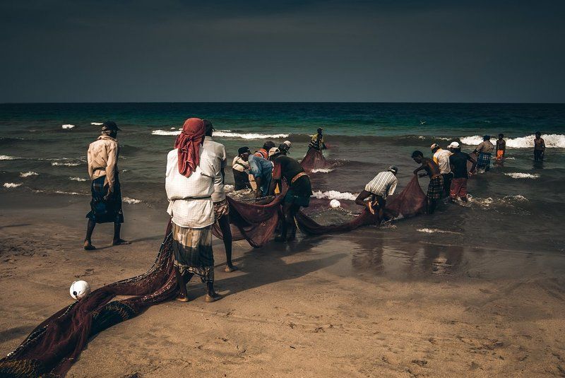 шри ланка, сеть, рыбалка, рыбаки, океан, апрель, sri lanka, ocean, net, fishing, fishermen, april Fishing in Sri Lanka... фото превью