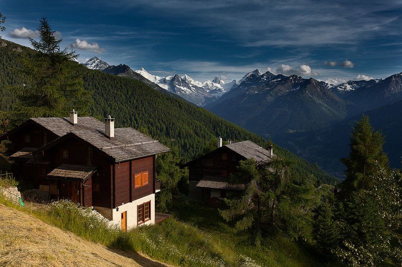 *** фото превью