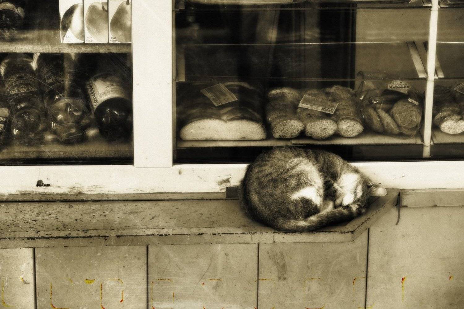 , Михаил  Пилипенко