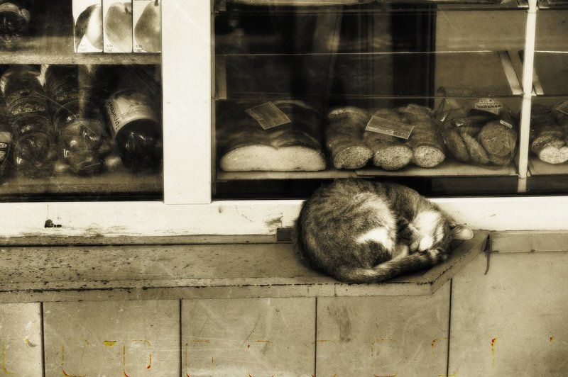 Осенний сон фото превью