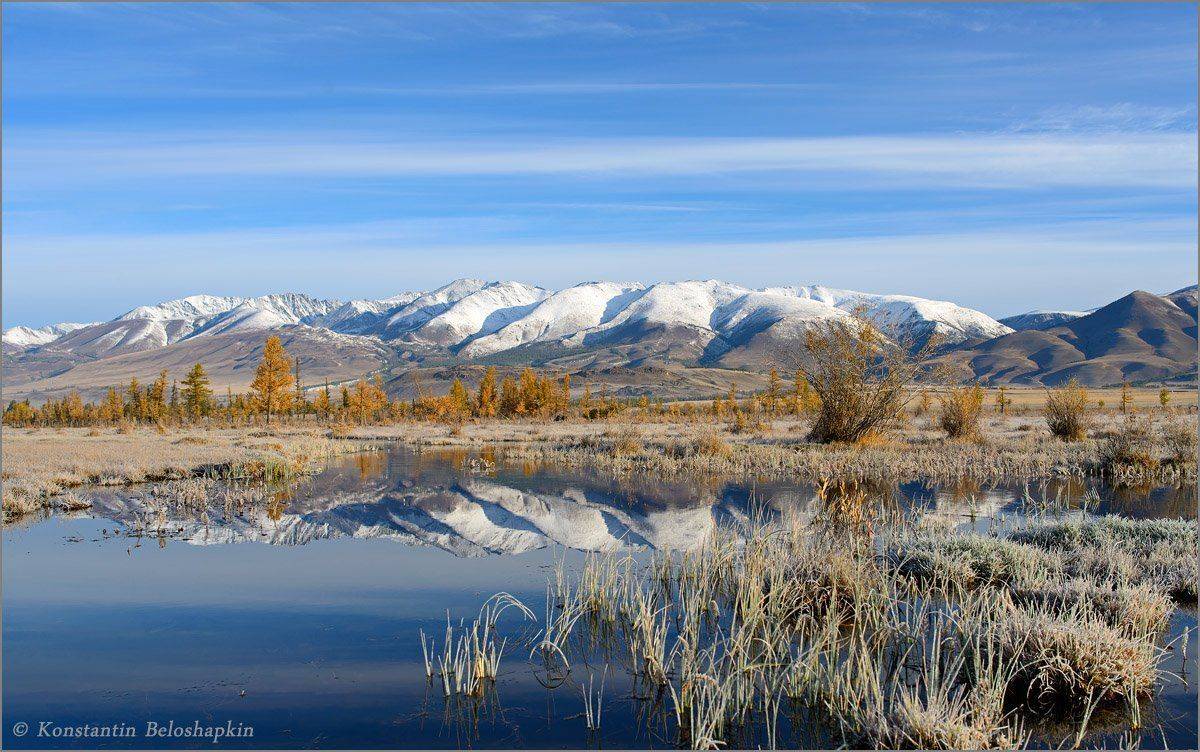 алтай, константин белошапкин, Константин Белошапкин