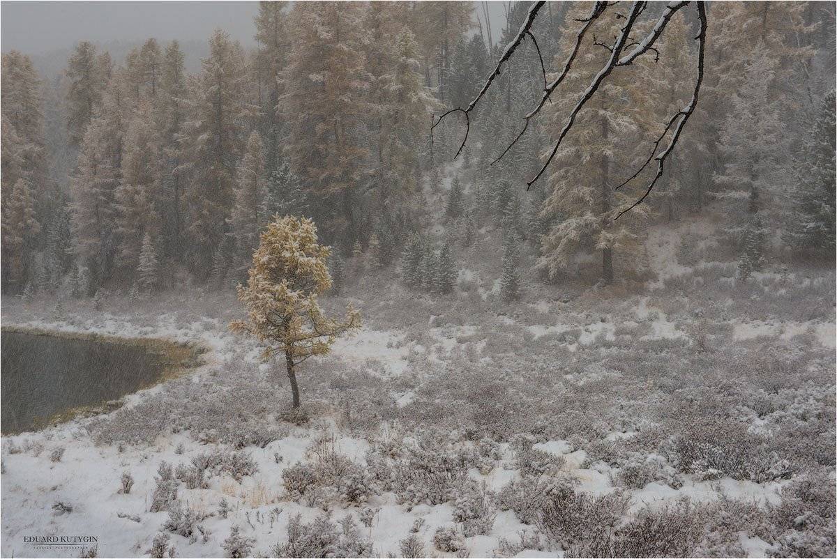 , Кутыгин Эдуард