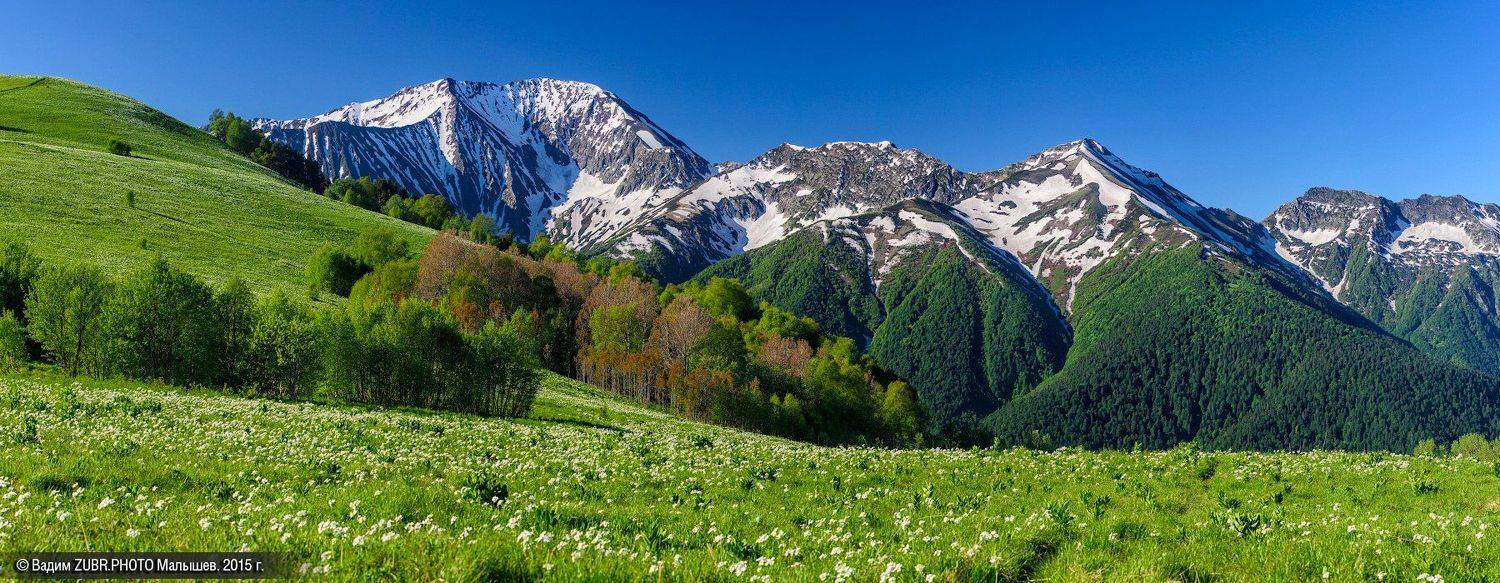 Zubrphoto, Абаго, Горы, Западный кавказ, Лето, Луга, Панорама, Цветы, Вадим ZUBR Малышев