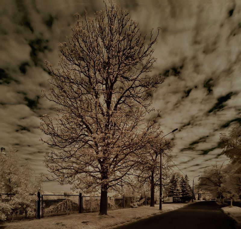 *** фото превью