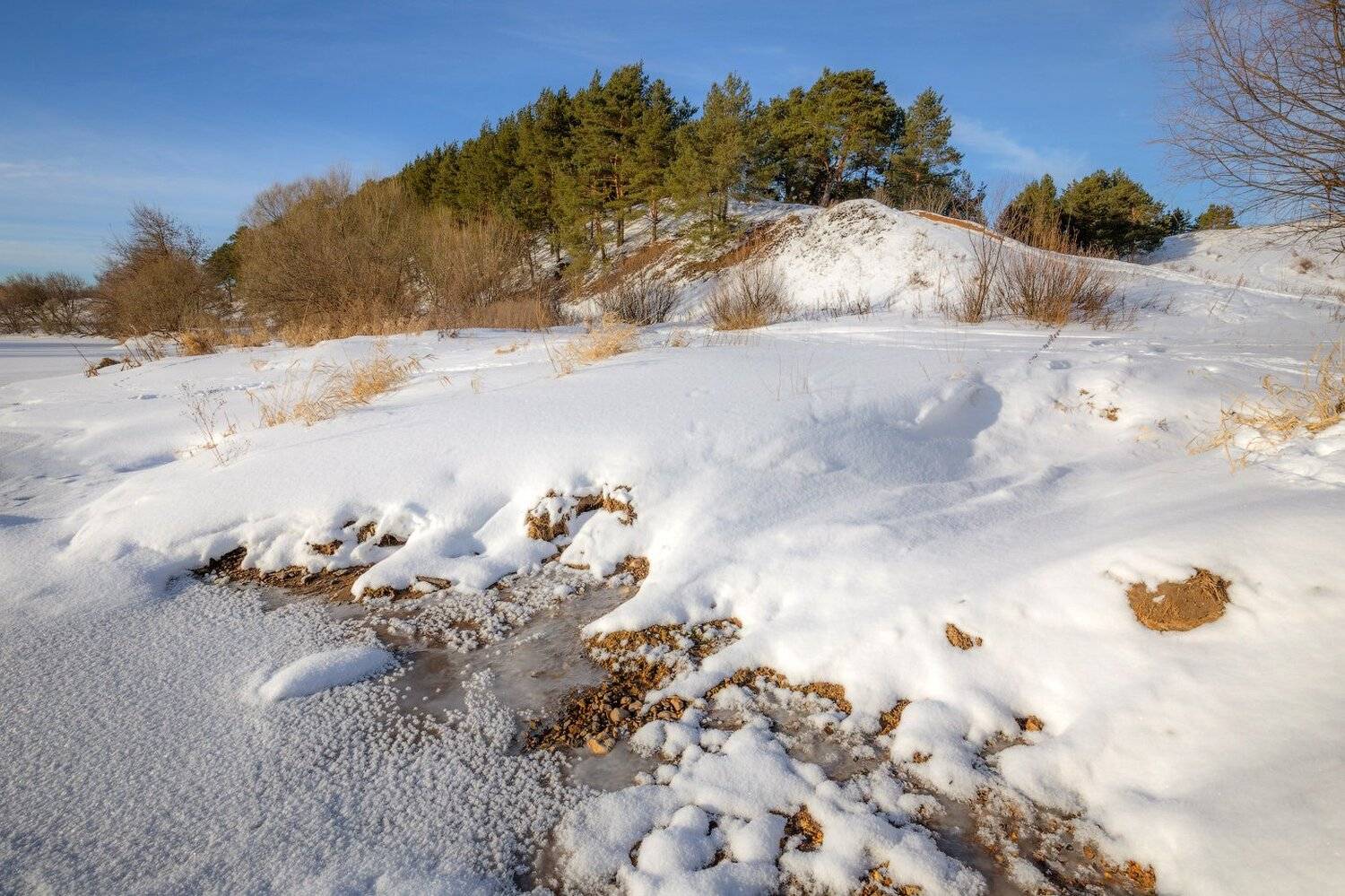зима, река, солнце, сосны, Виктор Климкин