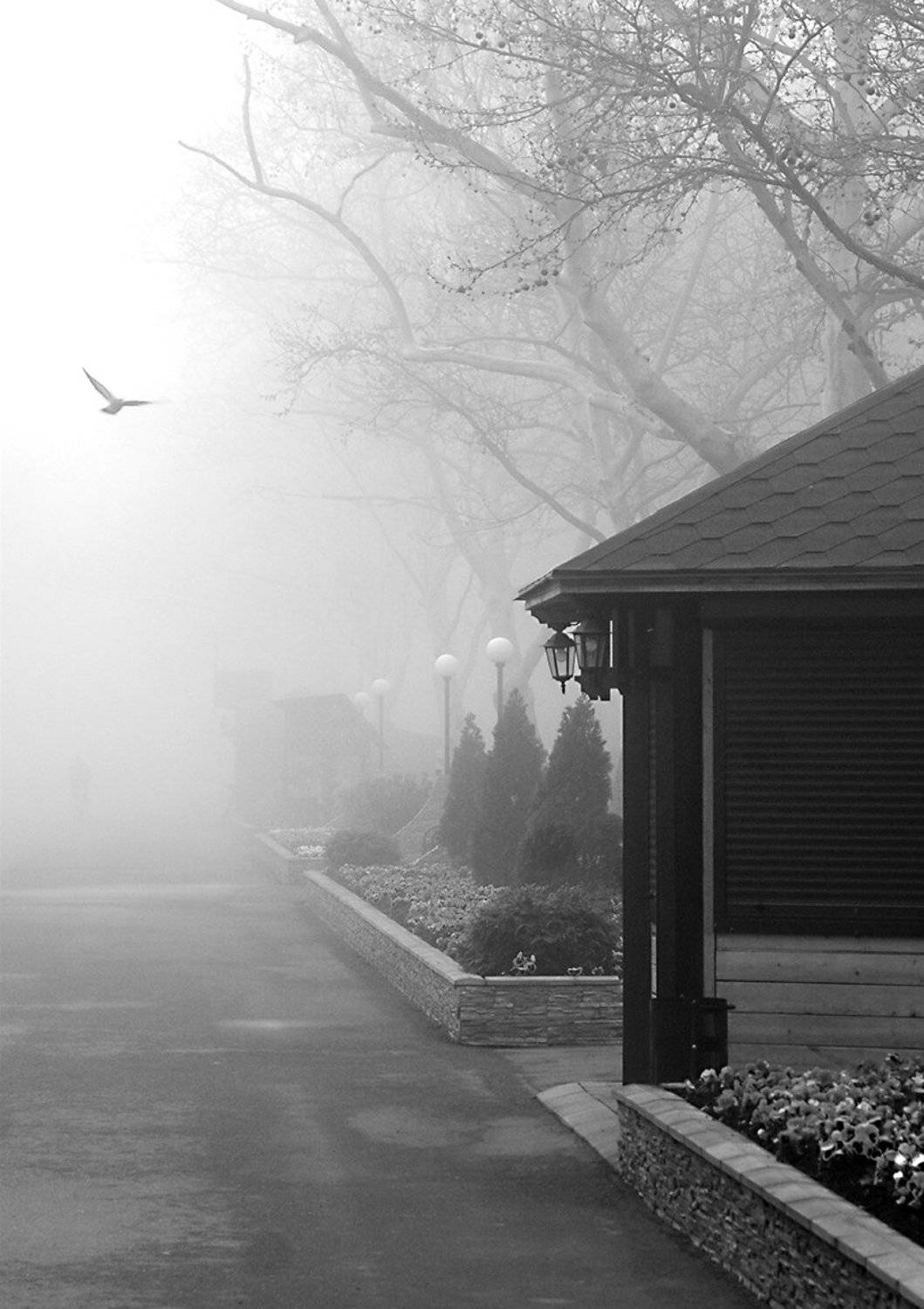 , Роман Рыжков