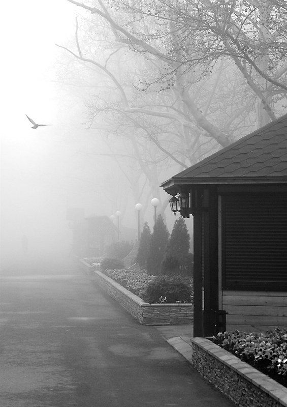 Свобода реальности фото превью