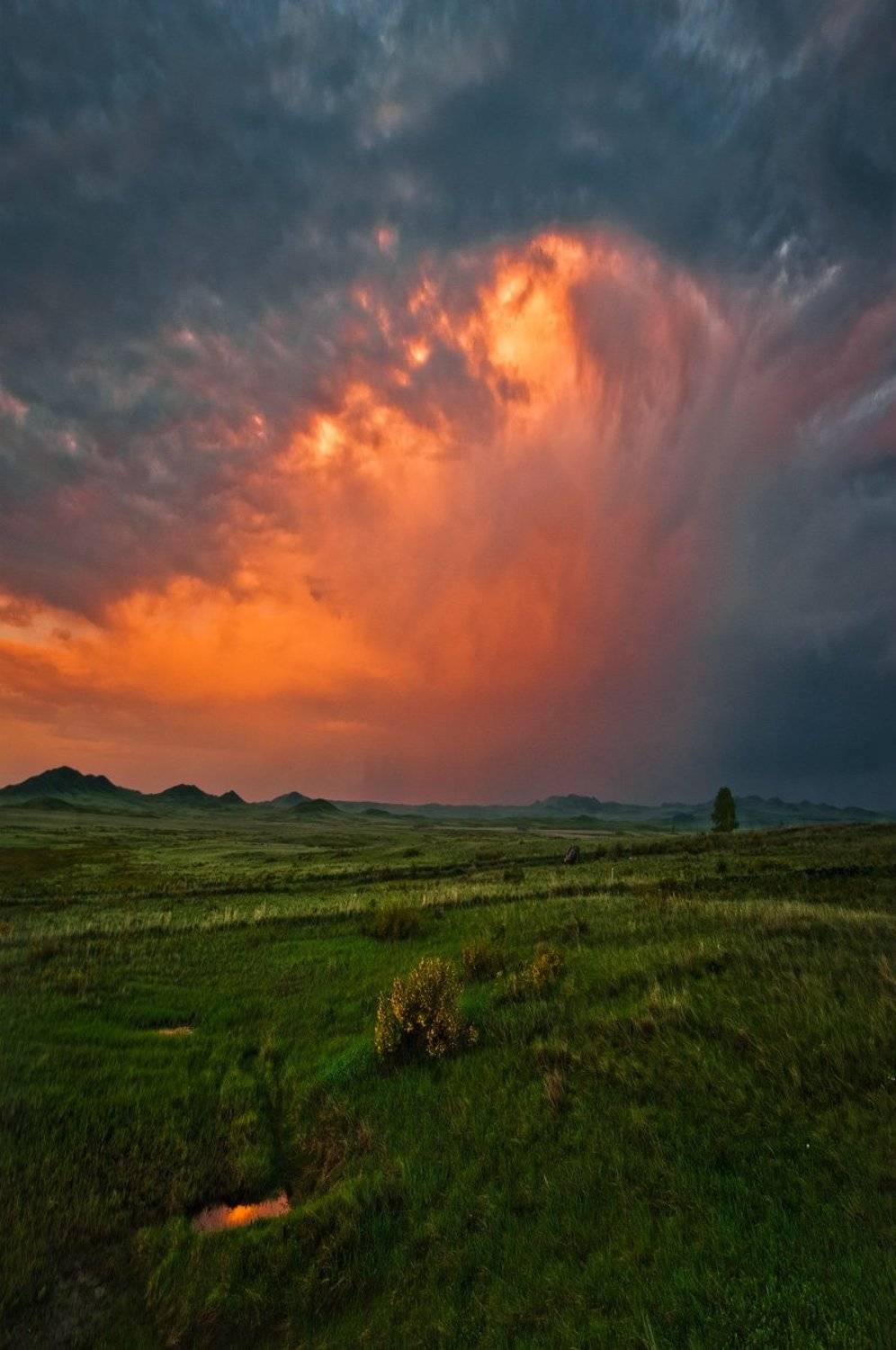 закат, Андрей Журавлев