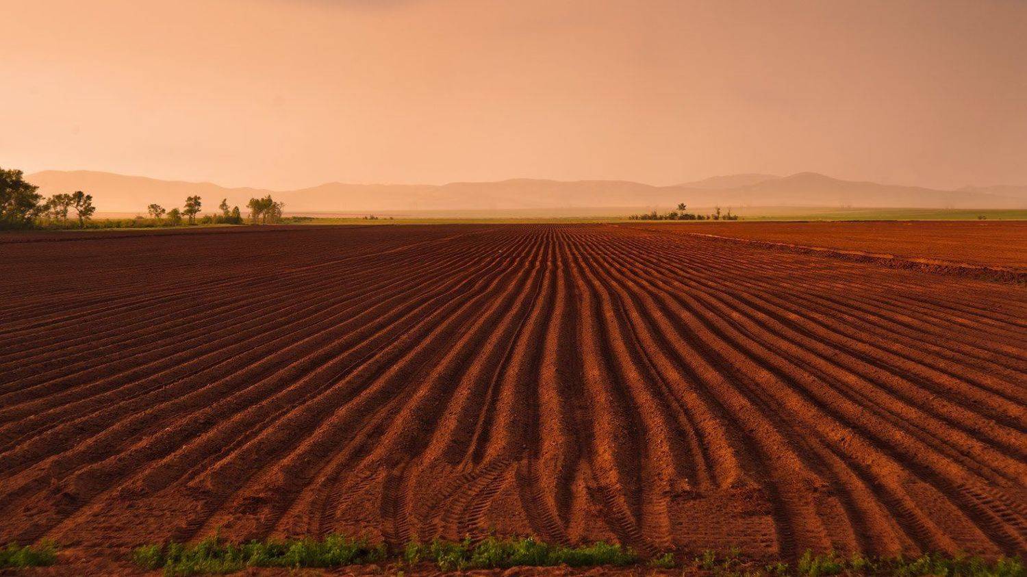 Закат, Андрей Журавлев