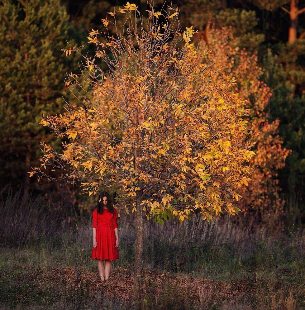 , Морозов Евгений