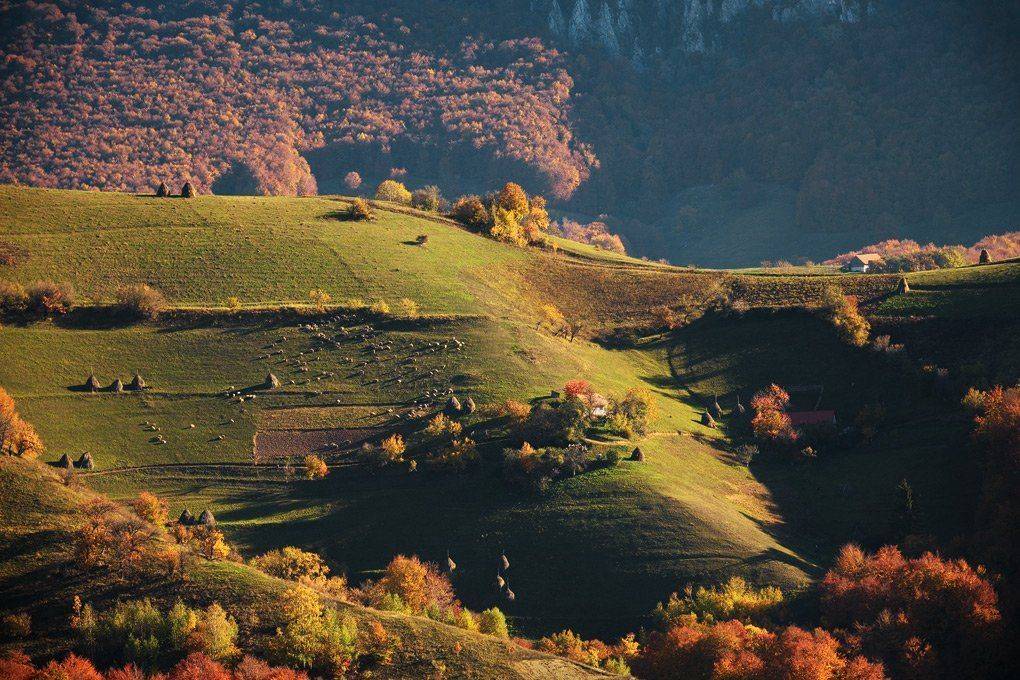 , Stefan Chirobocea