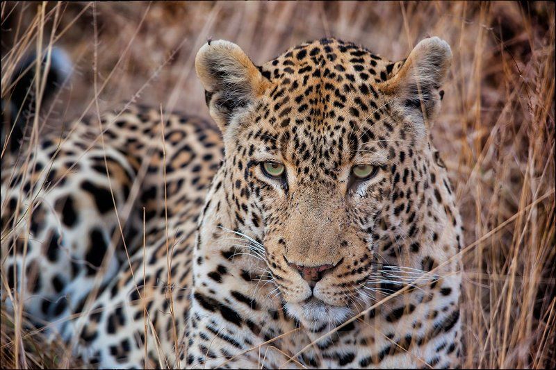 Дзен фото превью