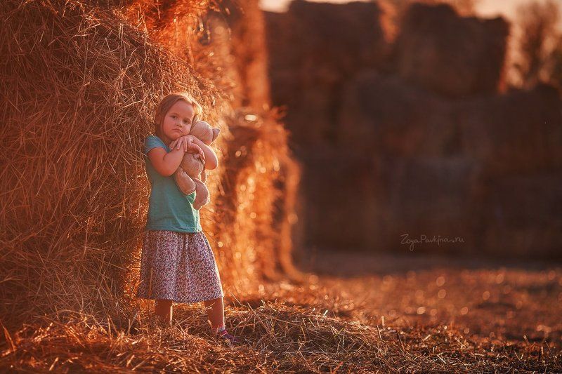 Лето фото превью