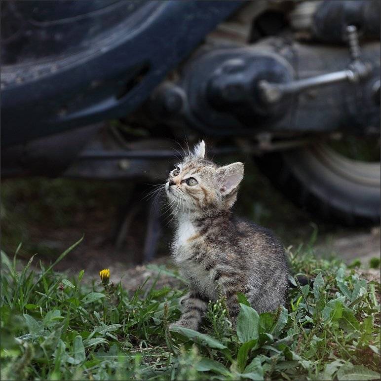 , Сергей Фудиненко