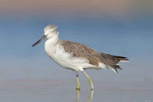 Спокойствие