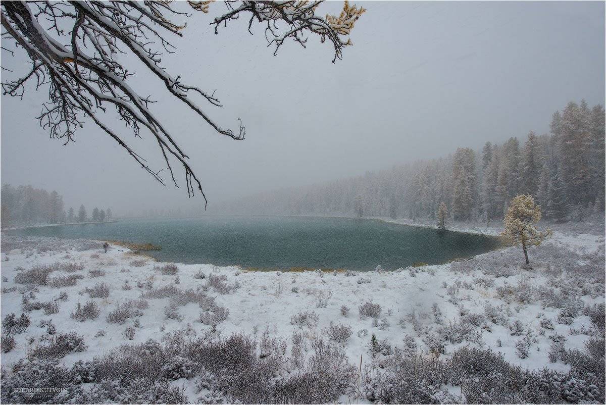 , Кутыгин Эдуард
