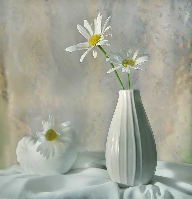 Нарисую ромашки фото превью