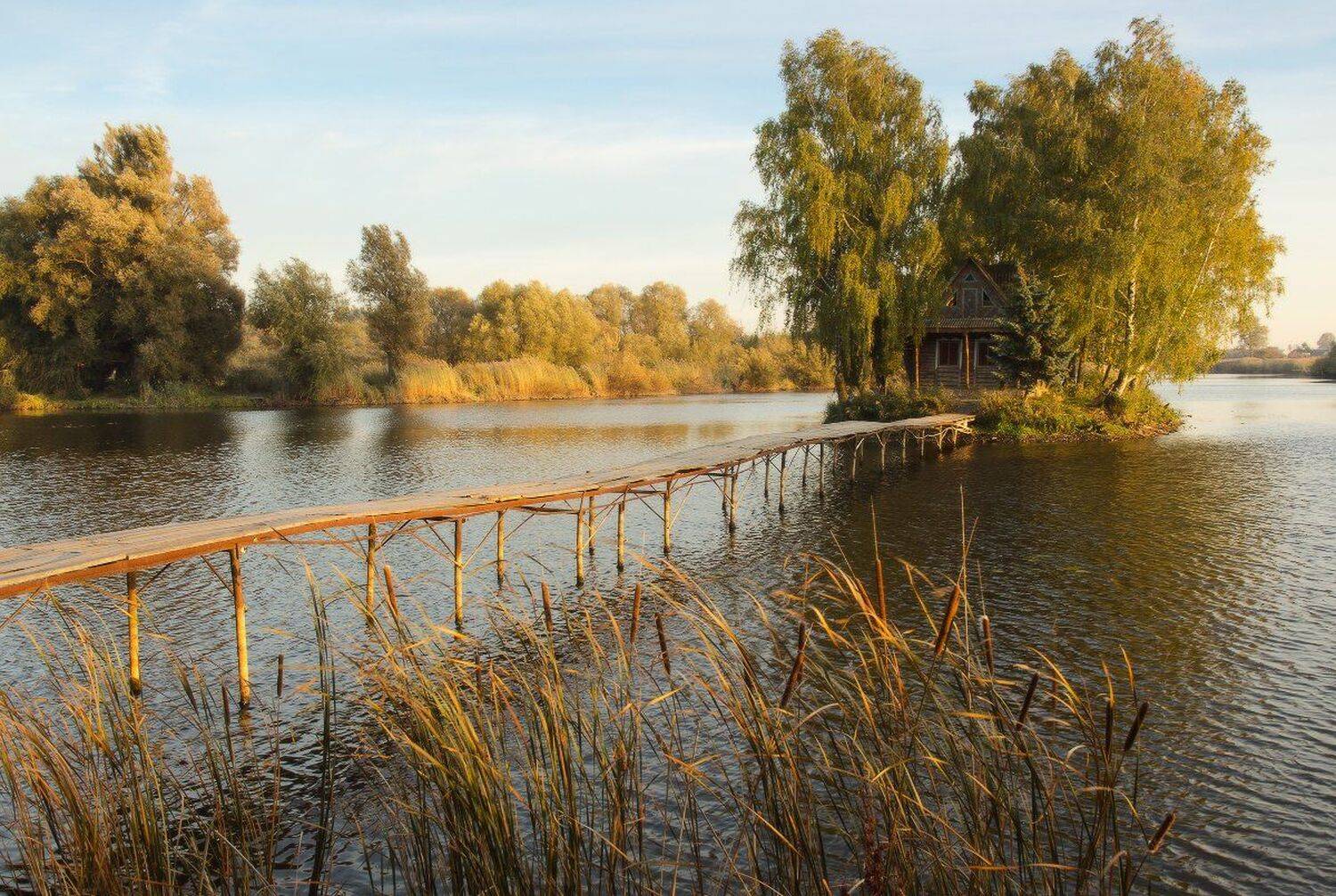 , Сергей Добровольский