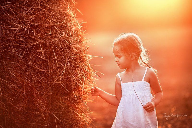 Лето фото превью