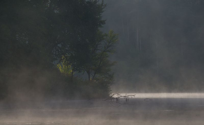утро в Решуцке фото превью