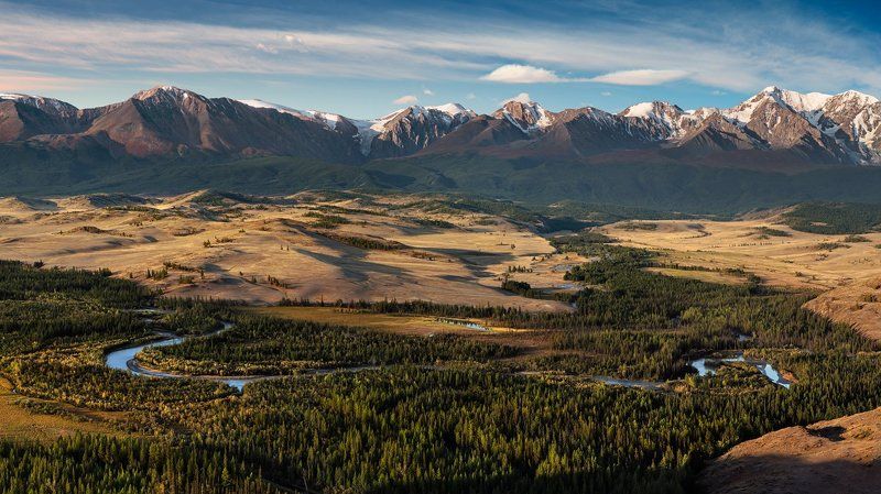 Курай фото превью