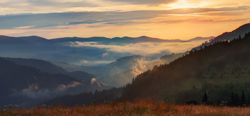 Начинается новый день фото превью