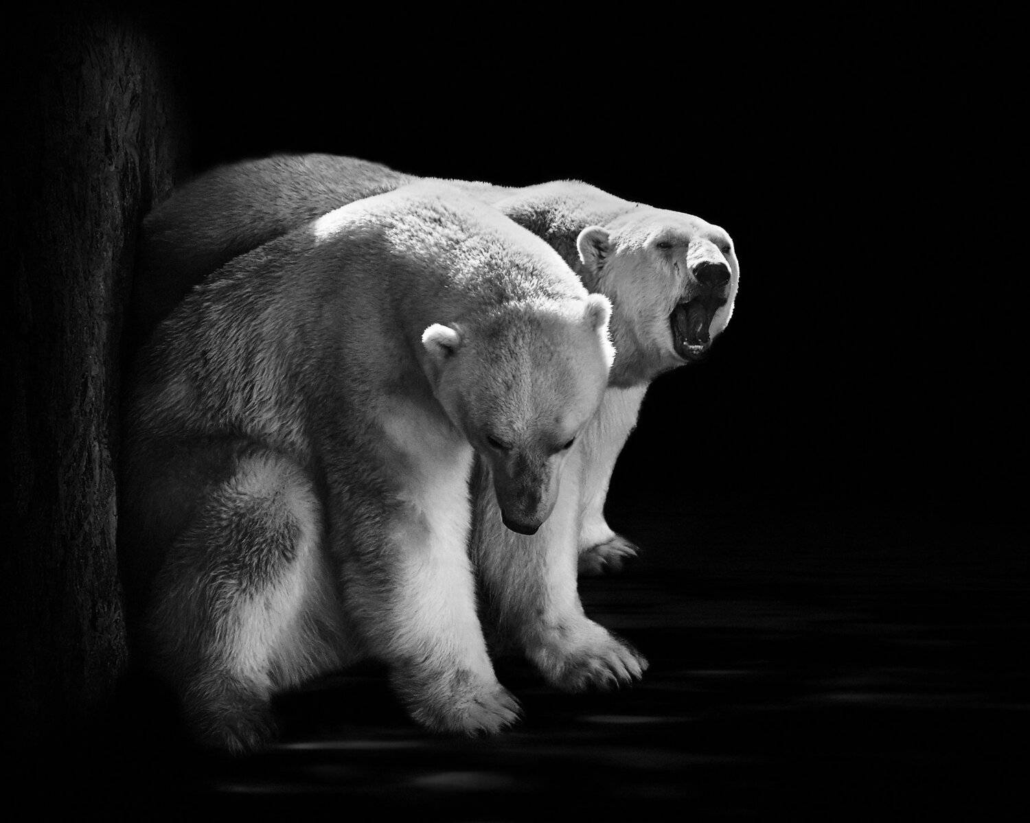 , Олег Богданов